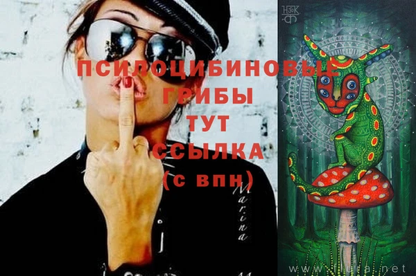spice Балабаново