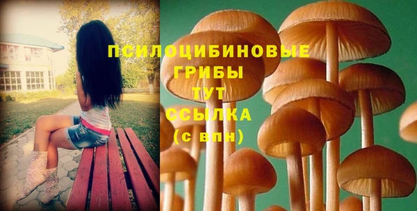 амф Балахна