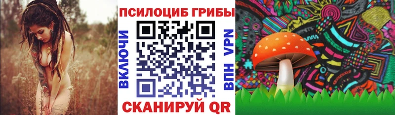 Псилоцибиновые грибы мицелий  маркетплейс состав  Кяхта  купить  сайты 